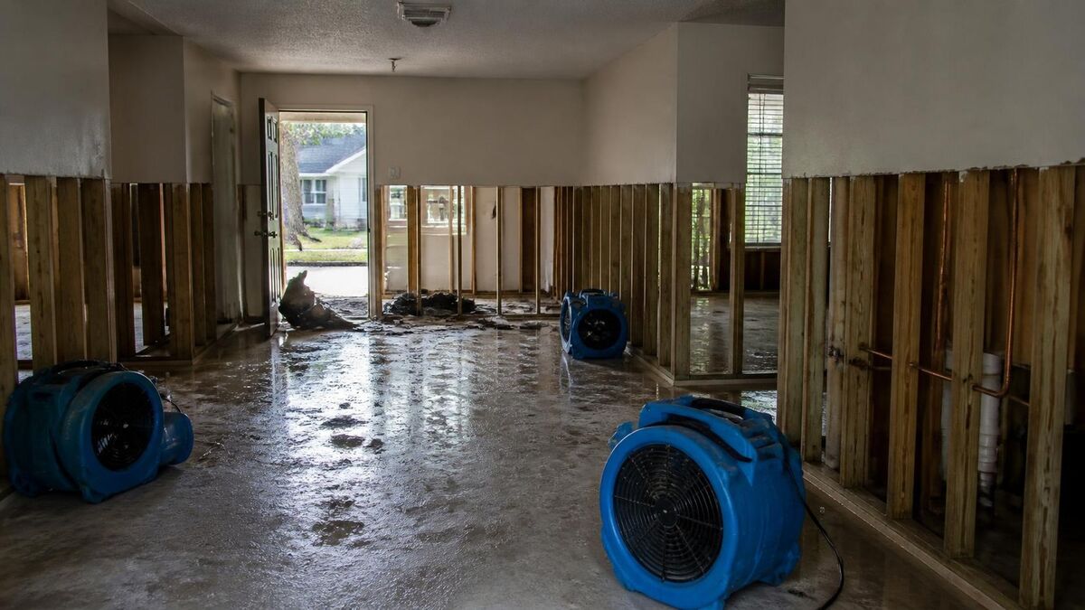 A flood-damaged house interior with the lower drywall cut out to the studs and drying fans on the slab floor